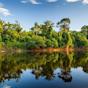 landschap Van Suriname