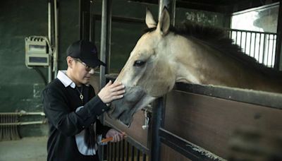 張信哲七夕化身丘比特 首見汗血寶馬本尊超溫馴 | 蕃新聞