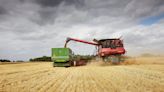 Large-scale Danish farms benefit disproportionately from EU aid
