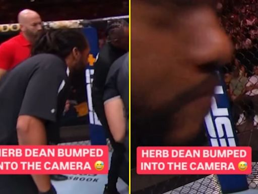 Referee Herb Dean takes unexpected whack to the head while officiating UFC fight