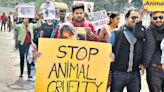 Mumbai activists struggle to file animal sexual assault cases under BNS