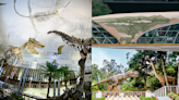 【2022恐龍景點攻略】台版侏羅紀公園、包含50種恐龍的主題樂園、3D立體彩繪... 大人小孩都愛的20處恐龍景點在台灣就可追！