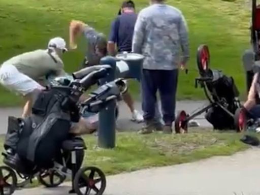 Vicious brawl erupts on a Canadian golf course