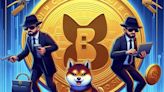 Crucial SHIB Warning Goes Out: Fake Airdrop Scams Targeting Community, Here's Reason - EconoTimes