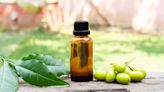 How To Use Neem Oil On Plants