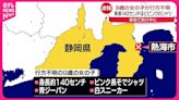 日本9歲女童熱海旅行走失 最後被發現自己坐火車回家