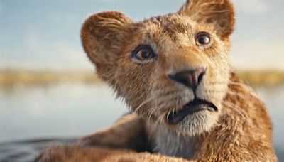 Disney aprende la lección y corrige un error imperdonable de 'El rey león' en el tráiler de 'Mufasa': "Se han esforzado"