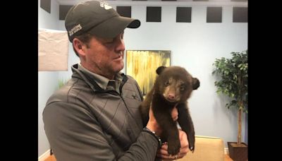 Animal rights group PETA asks Idaho to investigate ‘deceptive’ Yellowstone Bear World