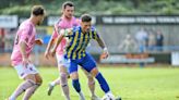 Linnets slip up after a bad day at the office