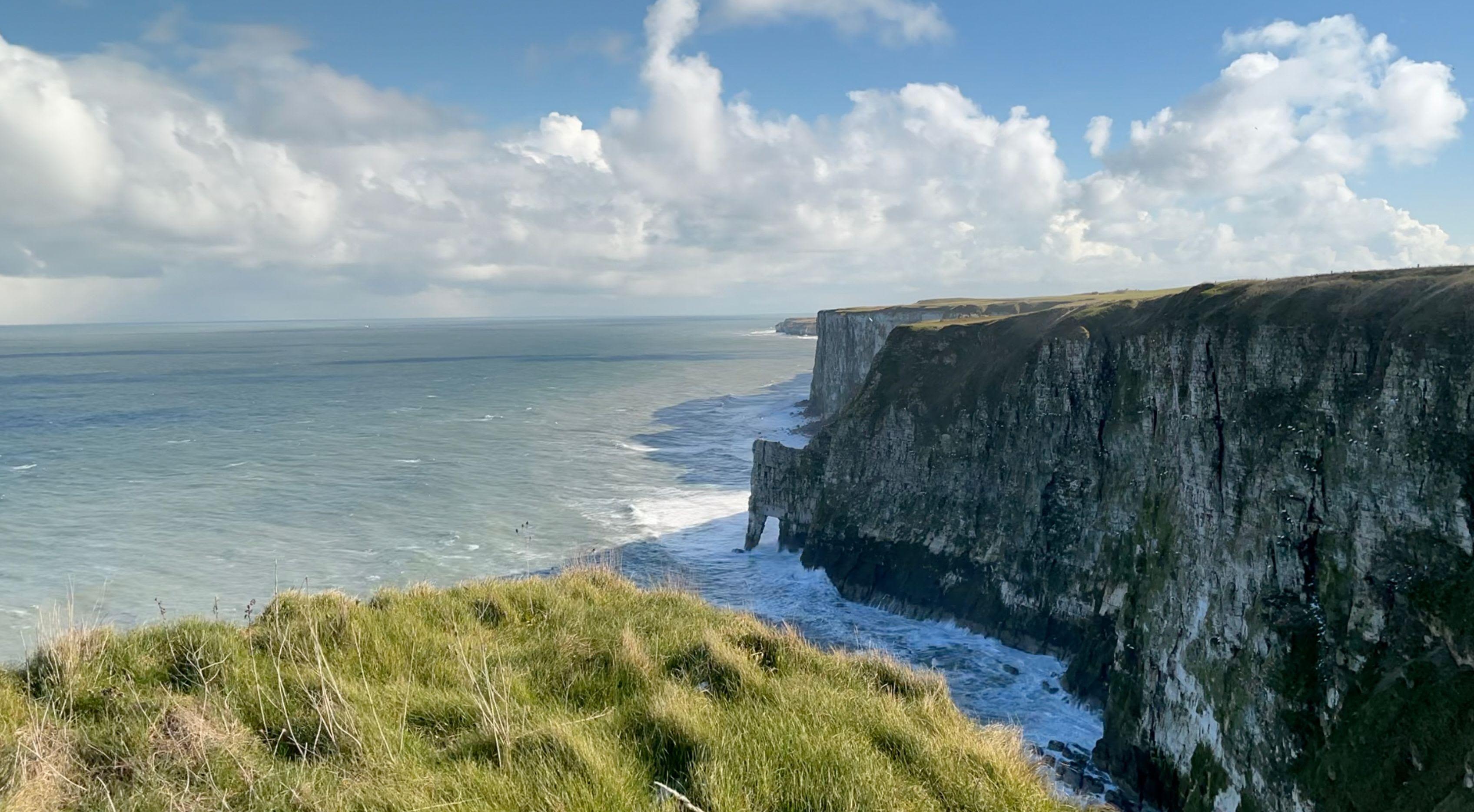 Challenge to fishing ban a threat to seabirds - RSPB