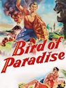 Bird of Paradise (1951 film)