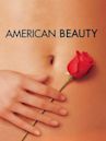 American Beauty