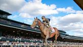 Kentucky Derby Pedigree Corner Presented By FanDuel Racing: Dornoch, Sierra Leone, Mystik Dan, And Catching Freedom