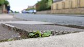 "Absolutely dreadful" state of pavements in Newcastle and North East slammed