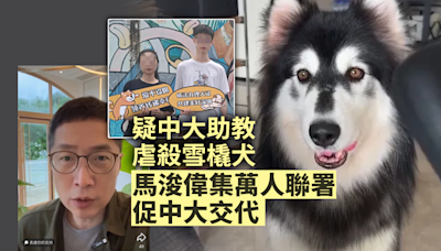 疑中大助教深圳虐殺雪橇犬事件 馬浚偉收集萬人聯署要求中大交代