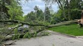Here's a list of Madison roads closed by storm debris Wednesday morning