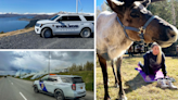 AROUND ALASKA: Officer Shortage, Brush Fires, and Reindeer Yoga?!?