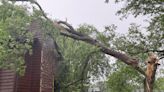 Rochester continues to clean-up following storms