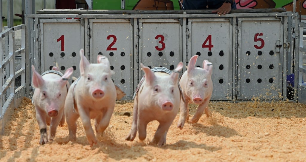 The 95th Lake County Fair opens in Grayslake; 100K expected to attend