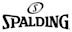 Spalding (company)