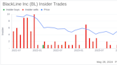 Insider Buying: Co-CEO Owen Ryan Acquires Shares of BlackLine Inc (BL)