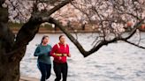Start of Spring 2024 comes with frigid Equinox temperatures, but vibrant cherry blossoms