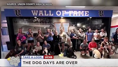 Who let the dogs out? Union Co. High School students, pets pull off senior prank