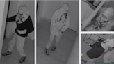 Burglar steals X-ray machine and tools from dentist's office