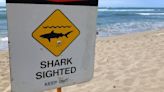 Death of renown surfer and lifeguard marks 9th fatal shark attack in Hawaii