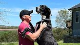 World's tallest male dog, Kevin, dies after setting new record