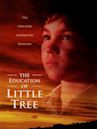 The Education of Little Tree (film)