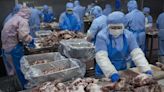 China apunta al sector porcino español en su investigación antidumping a la carne procedente de la UE