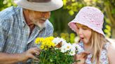 7 buzzworthy fun family activities to celebrate Pollinator Week