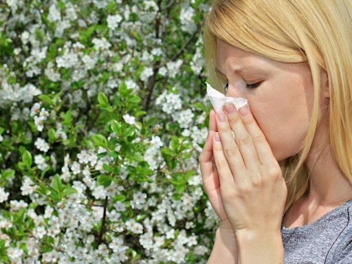 ¿Tienes alergia? Consulta los niveles de polen en Córdoba esta semana