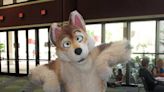 What is a furry? It's different than cosplay, steampunk, animalia