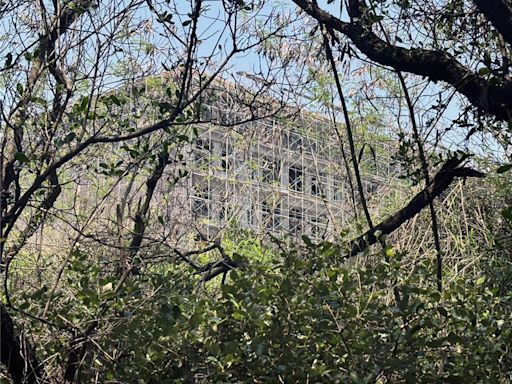 「迷你版亞馬遜森林」因蓋飯店恐遭破壞 南市府：審慎檢視