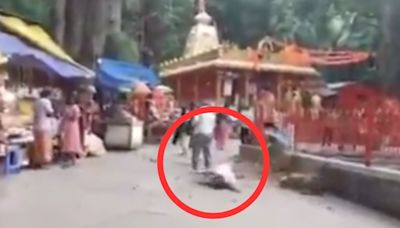 Woman Critically Injured After Tree Falls on Her at Andhra's Tirumala Temple, Scary Video Surfaces - News18