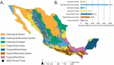 Un grupo de investigadores desarrollan y actualizan un mapa de la extensión de los bosques de México