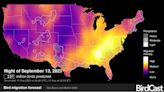 Here's what you need to know about fall bird migration in Wisconsin and across the U.S.