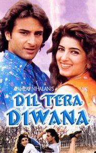 Dil Tera Diwana (1996 film)