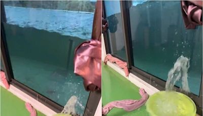 凱米雨彈狂炸高雄 高樓陽台「慘成水族箱」網驚：能撐多久？