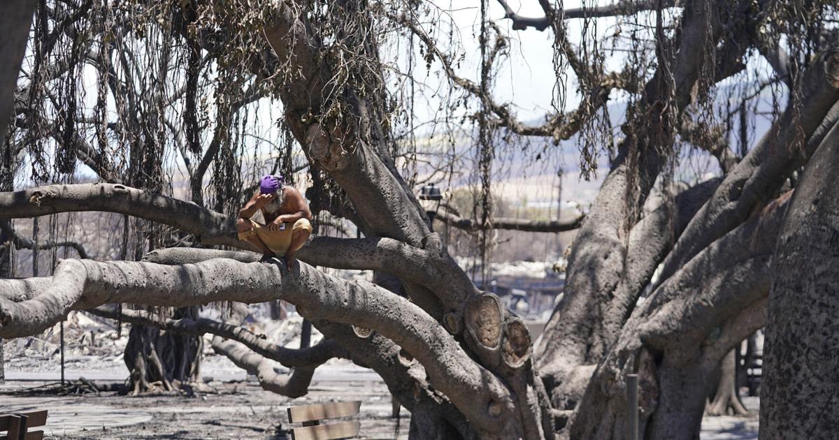 'Hope' | Maui fire survivors tour Lahaina town nearly a year after disaster