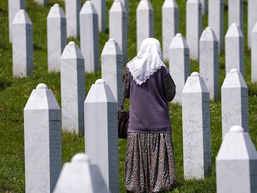 Why did Serbia react so harshly to the UN resolution on Srebrenica?