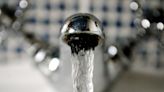 Impact of 31,000 East Sussex properties without water ‘drastic’ for businesses