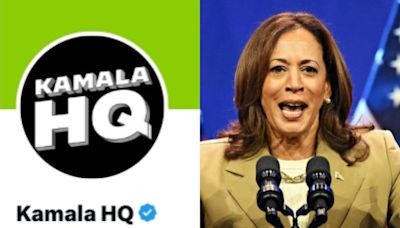 The one thing Kamala Harris must not do is embrace the memes