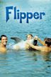 Flipper le dauphin