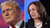 How polls rate Kamala Harris's chances against Trump