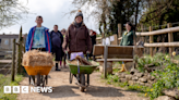 Bath City Farm launches new appeal for funding to keep going