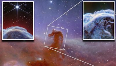 Close-up of horse-shaped nebula revealed in new NASA telescope photos
