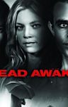 Dead Awake (2010 film)